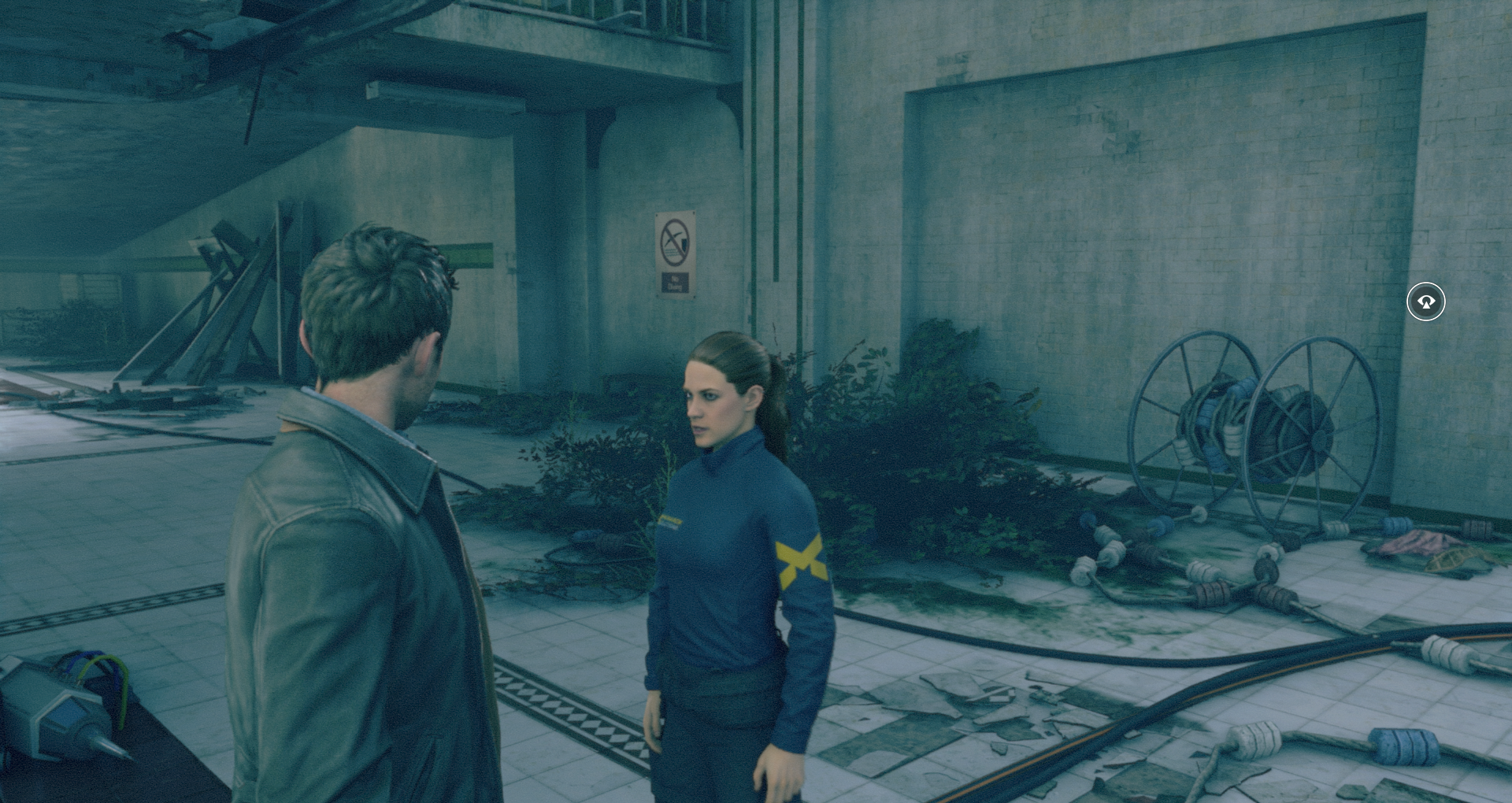 Remedyn vakionaamoja tulevaisuudessa