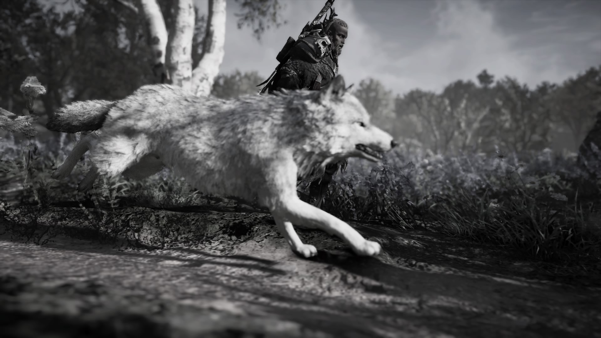 Photo mode jälleen läsnä