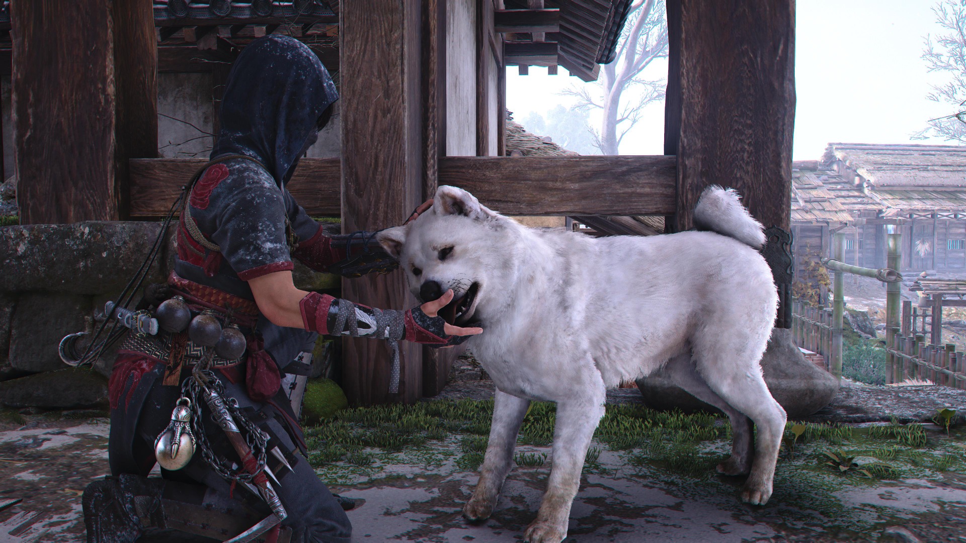 Välillä on hyvä silittää koiria