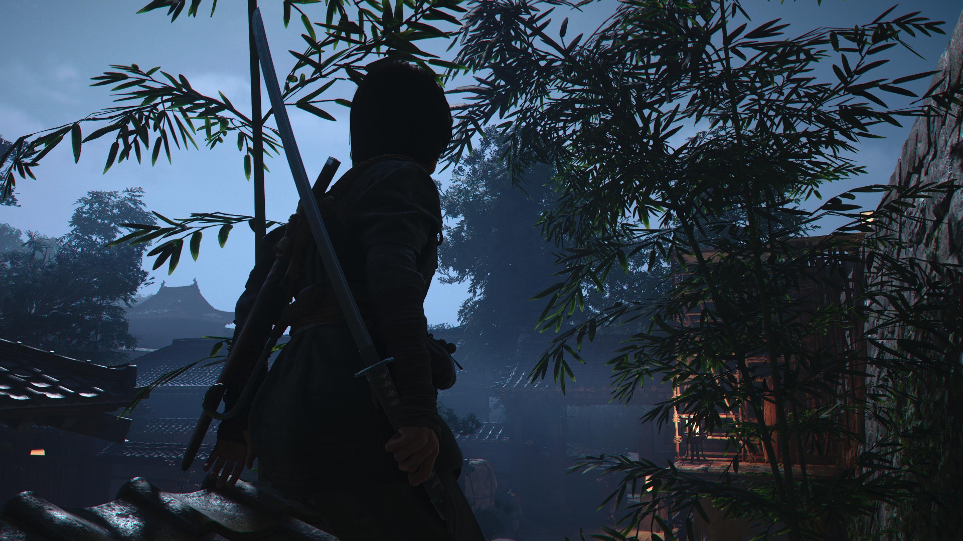 Tässäkin pelissä on photo mode, ei kovin monipuolinen, mutta siellä se on